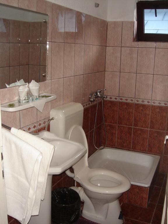 Vila Cristina Ceahlău Camera foto
